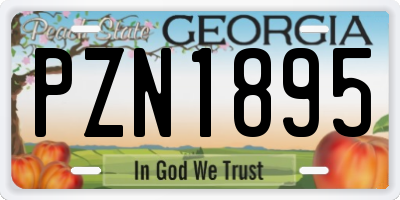 GA license plate PZN1895