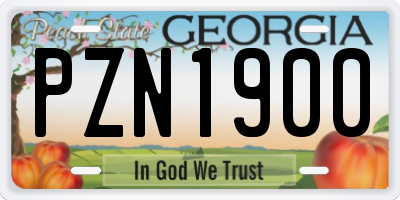 GA license plate PZN1900