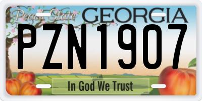 GA license plate PZN1907