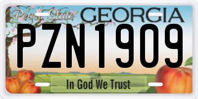 GA license plate PZN1909