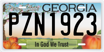 GA license plate PZN1923