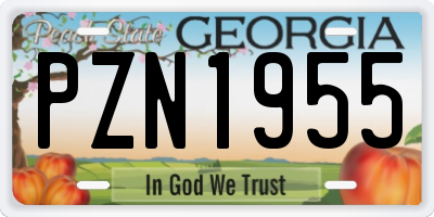 GA license plate PZN1955