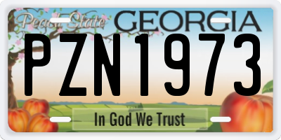 GA license plate PZN1973