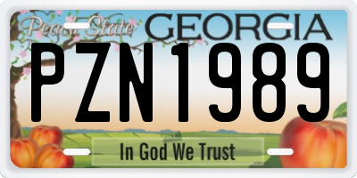 GA license plate PZN1989