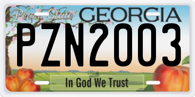 GA license plate PZN2003
