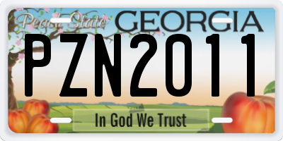 GA license plate PZN2011