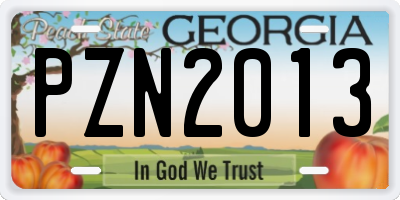 GA license plate PZN2013