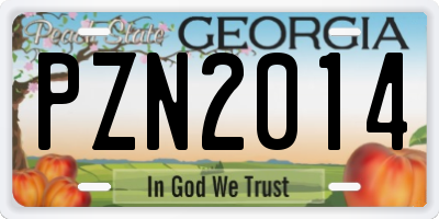 GA license plate PZN2014