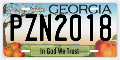 GA license plate PZN2018