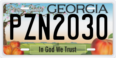 GA license plate PZN2030