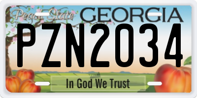 GA license plate PZN2034