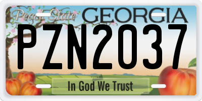 GA license plate PZN2037