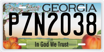 GA license plate PZN2038