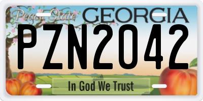 GA license plate PZN2042