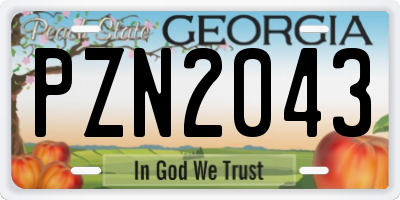 GA license plate PZN2043