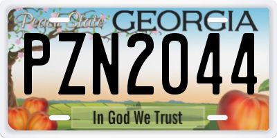 GA license plate PZN2044