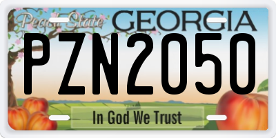 GA license plate PZN2050