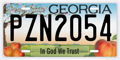 GA license plate PZN2054