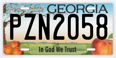 GA license plate PZN2058