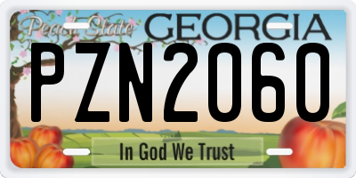 GA license plate PZN2060