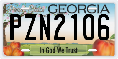 GA license plate PZN2106