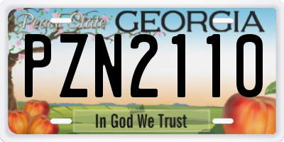 GA license plate PZN2110