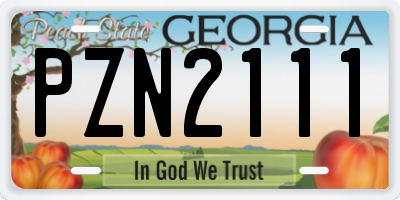 GA license plate PZN2111