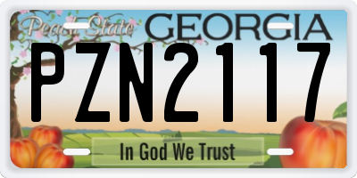 GA license plate PZN2117