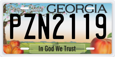 GA license plate PZN2119