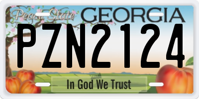 GA license plate PZN2124