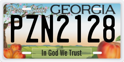 GA license plate PZN2128