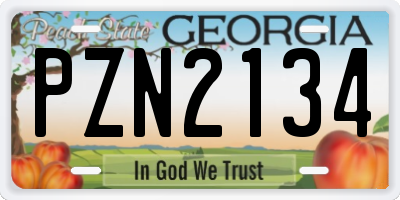 GA license plate PZN2134