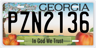 GA license plate PZN2136