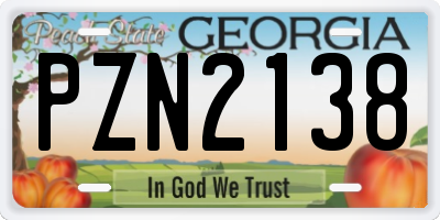 GA license plate PZN2138