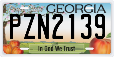 GA license plate PZN2139
