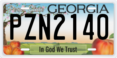 GA license plate PZN2140