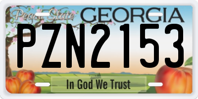 GA license plate PZN2153