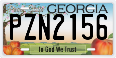 GA license plate PZN2156