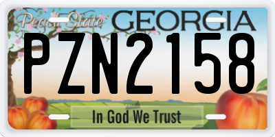 GA license plate PZN2158