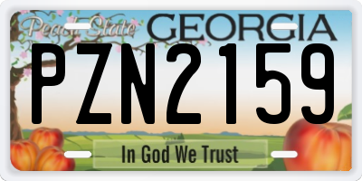 GA license plate PZN2159