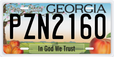 GA license plate PZN2160