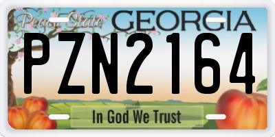 GA license plate PZN2164