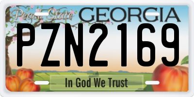 GA license plate PZN2169