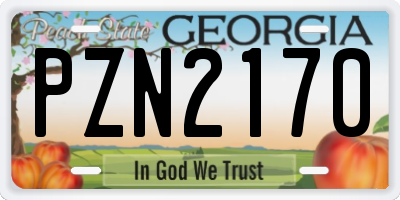 GA license plate PZN2170
