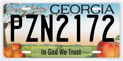 GA license plate PZN2172