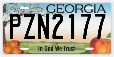 GA license plate PZN2177