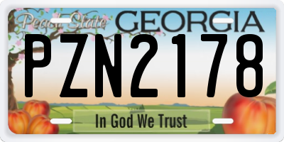 GA license plate PZN2178