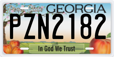 GA license plate PZN2182