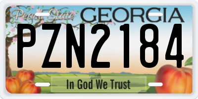 GA license plate PZN2184