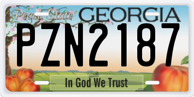 GA license plate PZN2187